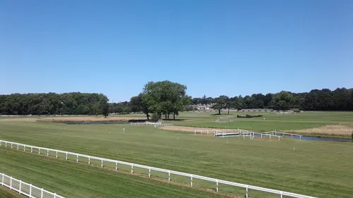 Hippisme : nos préférés pour ce dimanche 10 juillet